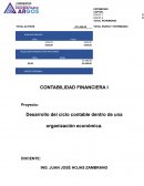 Desarrollo Del Ciclo Contable Dentro De Una Organizacion Economica