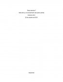 Estructura y Funcionamiento del poder judicial