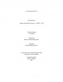 La Vocación De Servir