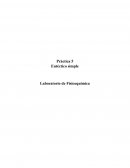 Práctica 5 Eutéctico simple Laboratorio de Fisicoquímica