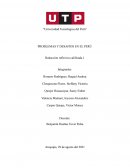 ECONOMÍA PERUANA EN LA REPUBLICA ARISTOCRÁTICA