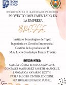 Proyecto del negocio Bresse