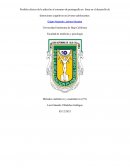 Posibles efectos de la adicción al consumo de la pornografía