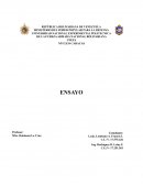 Una mirada de la cultura corporativa