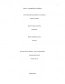 PROCESO DE ADAPTACION A LA EDUCACION A DISTANCIA