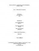 Fase 4 – Elaboración de la propuesta