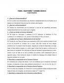 Anatomía y Biomecánica. CUESTIONARIO