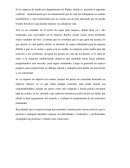 Tarea organizacional Ripley