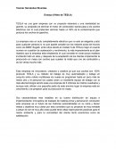 Ensayo (Video de TESLA)