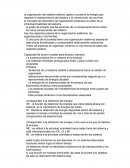 Enfoque social sistémico