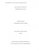 ENSAYO ¿QUÉ ES UN PROYECTO?