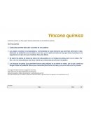 Yincana química