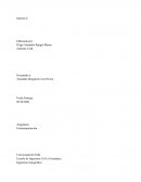 Cálculo de áreas con Google Earth