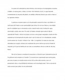 El crimen en Latinoamérica