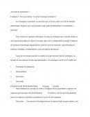 Evidencia 3: Ejercicio práctico “La mejor estrategia corporativa”