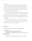 Zona Urbana con Earth