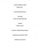 Negocios internacionales,mercado de Costa Rica