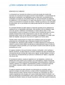 ¿Cómo cuidarse del monóxido de carbono?