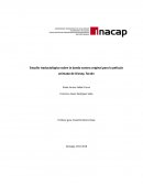 Estudio de traducción banda sonora de Tarzán