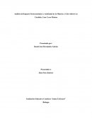 Análisis del Impacto Socioeconómico y Ambiental de la Minería a Cielo Abierto en Córdoba, Caso Cerro Matoso