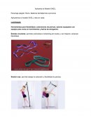 Modelo Shell - de FFHH aeronavegantes