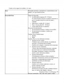 Cuadro en las etapas de la adultez y la vejez