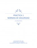PRACTICA 1 NORMAS DE SEGURIDAD