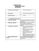 PLAN INICIAL DE ESTRATEGIAS PARA UNA INVERSION Textiles del Sur de Veracruz S.A De C.V