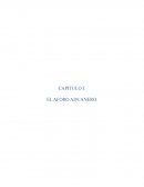 Capitulo I del Aforo Aduanero