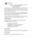 TAREA No. 2 “ÁREAS DE BRODMANN”