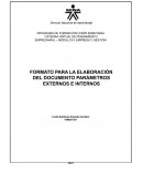 FORMATO PARA LA ELABORACIÓN DEL DOCUMENTO PARÁMETROS EXTERNOS E INTERNOS. EMPRESA: RIMOCA C.A