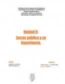 La importancia de los sectores públicos , las actividades indirectas y directas mediante el intervencionismo