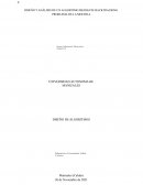 DISEÑO Y ANÁLISIS DE UN ALGORITMO MEDIANTE BACKTRACKING PROBLEMA DE LA MOCHILA