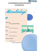 Microbiologia. Taller adicional