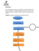 Flujograma que explica el proceso de exportación de “Cerezas”