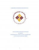 ALZHEIMER; ENFERMEDAD DEGENERATIVA