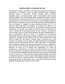 OPINION SOBRE LA ECONOMIA DEL PAIS