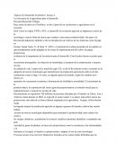 Ensayo importancia de la agricultura para el desarrollo economico