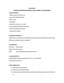 Plan de cuidados Paciente con Labioleporino y paladar hendido