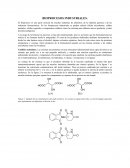 Bioprocesos industriales