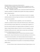 Principales influencias en las decisiones de fijación de precios