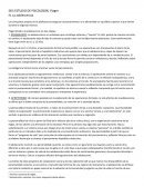 Piaget IV. La adolescencia