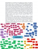 Mapa mental BIODIVERSIDAD