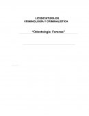 ODONTOLOGIA FORENSE
