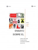 ENSAYO SOBRE EL MAYO FRANCES