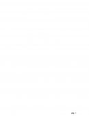 Ejemplos de negocios internacionales