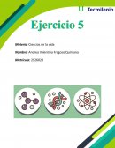 Ejercicio 13 Ciencias de la vida