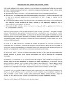 Informe sobre el Yaretanol. Biotecnología Moderna