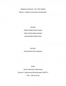 Inteligencia Emocional – Cómo Controlar las Emociones