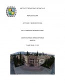 Relación de mercadotecnia y administración